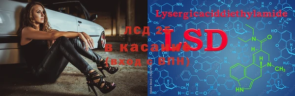 ешки Инсар