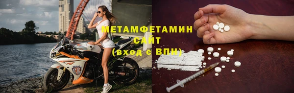 стаф Инта