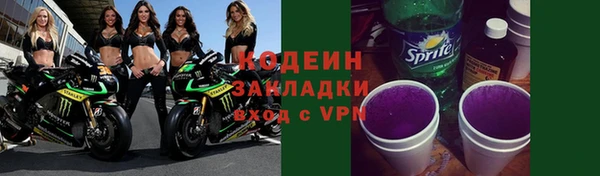стаф Инта