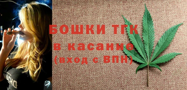 стаф Инта