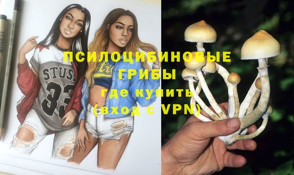ешки Инсар