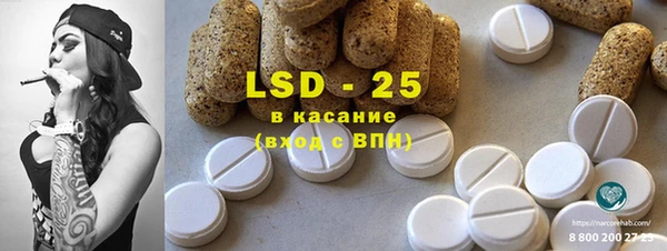 стаф Инта