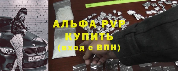 стаф Инта
